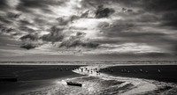 MTP03011