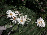 GFXR1815