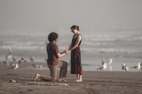 Max and Elisa Engagement Proposal