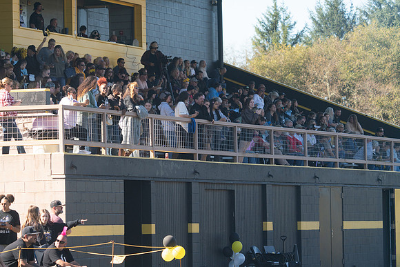 MTP04546
