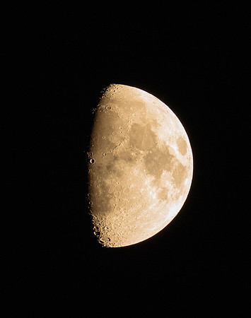 MTP03989