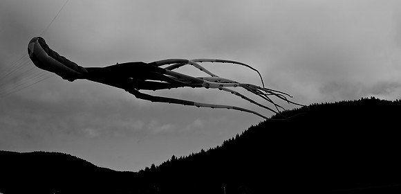 MTP_0475