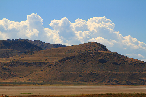 MTP_9107