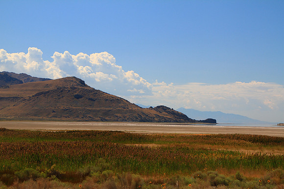 MTP_9104