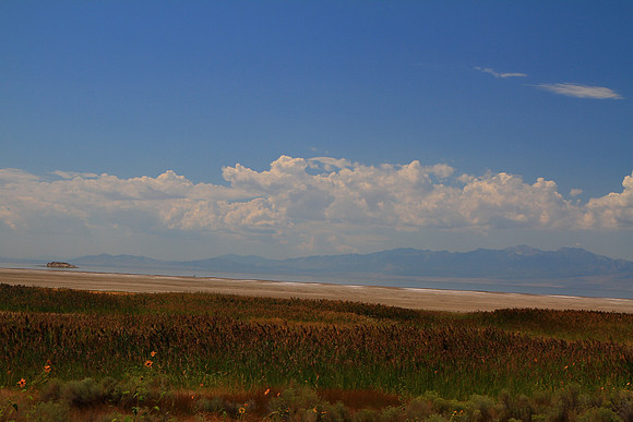 MTP_9105