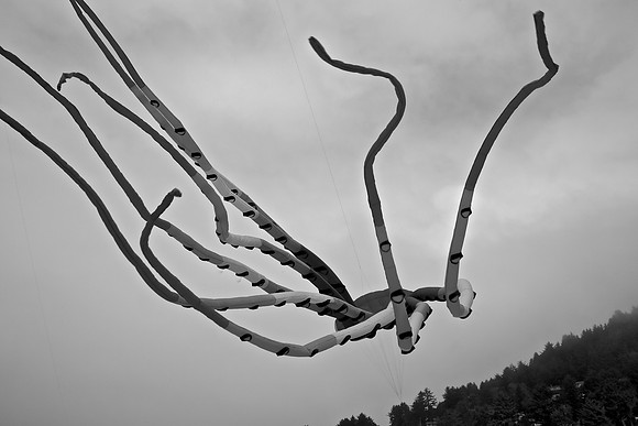 MTP_0431