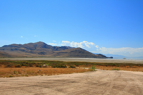 MTP_9099