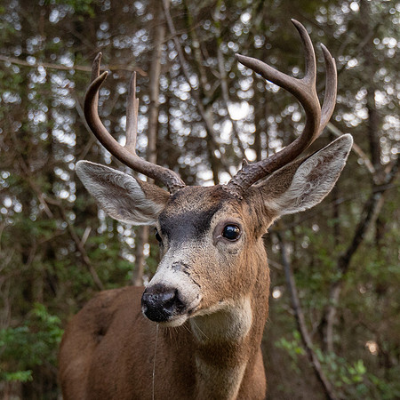 MTP02912