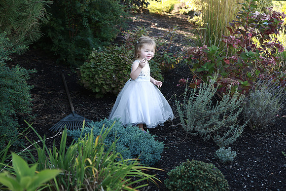 MTP_0042