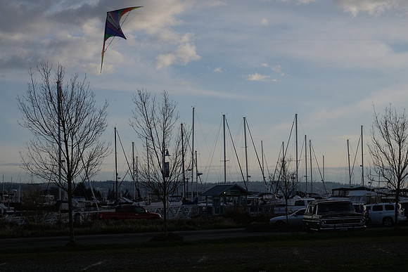 DSCF9388