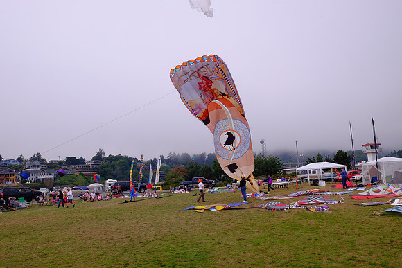 MTPS1429
