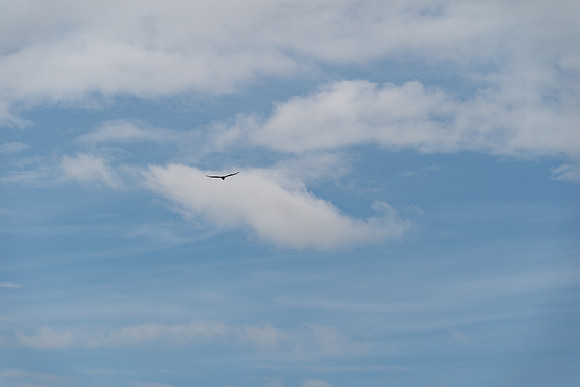 A9201066