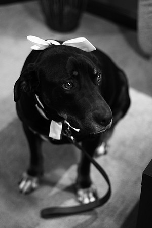 20090313_7858
