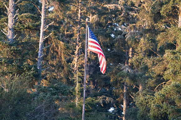 MTP00295